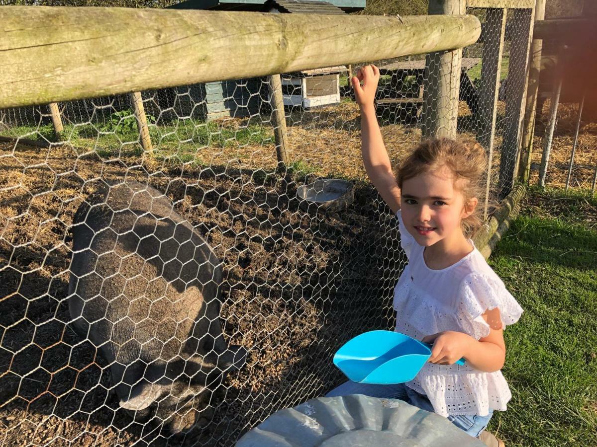 Willow Court Farm South & Petting Farm, 8 Mins From Legoland & Windsor, 15 Mins From Lapland Uk Windsor