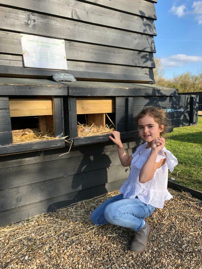 Сasa de vacaciones Willow Court Farm South & Petting Farm, 8 Mins From Legoland & Windsor, 15 Mins From Lapland Uk