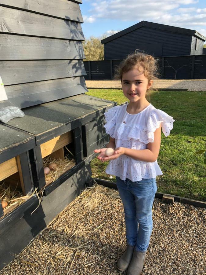 Сasa de vacaciones Willow Court Farm South & Petting Farm, 8 Mins From Legoland & Windsor, 15 Mins From Lapland Uk Windsor