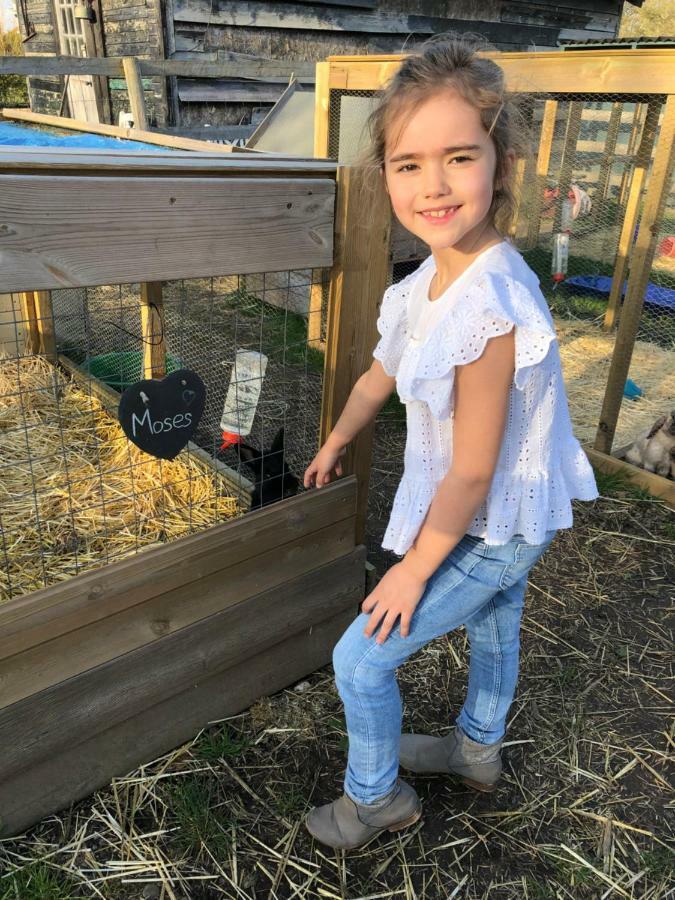 Сasa de vacaciones Willow Court Farm South & Petting Farm, 8 Mins From Legoland & Windsor, 15 Mins From Lapland Uk